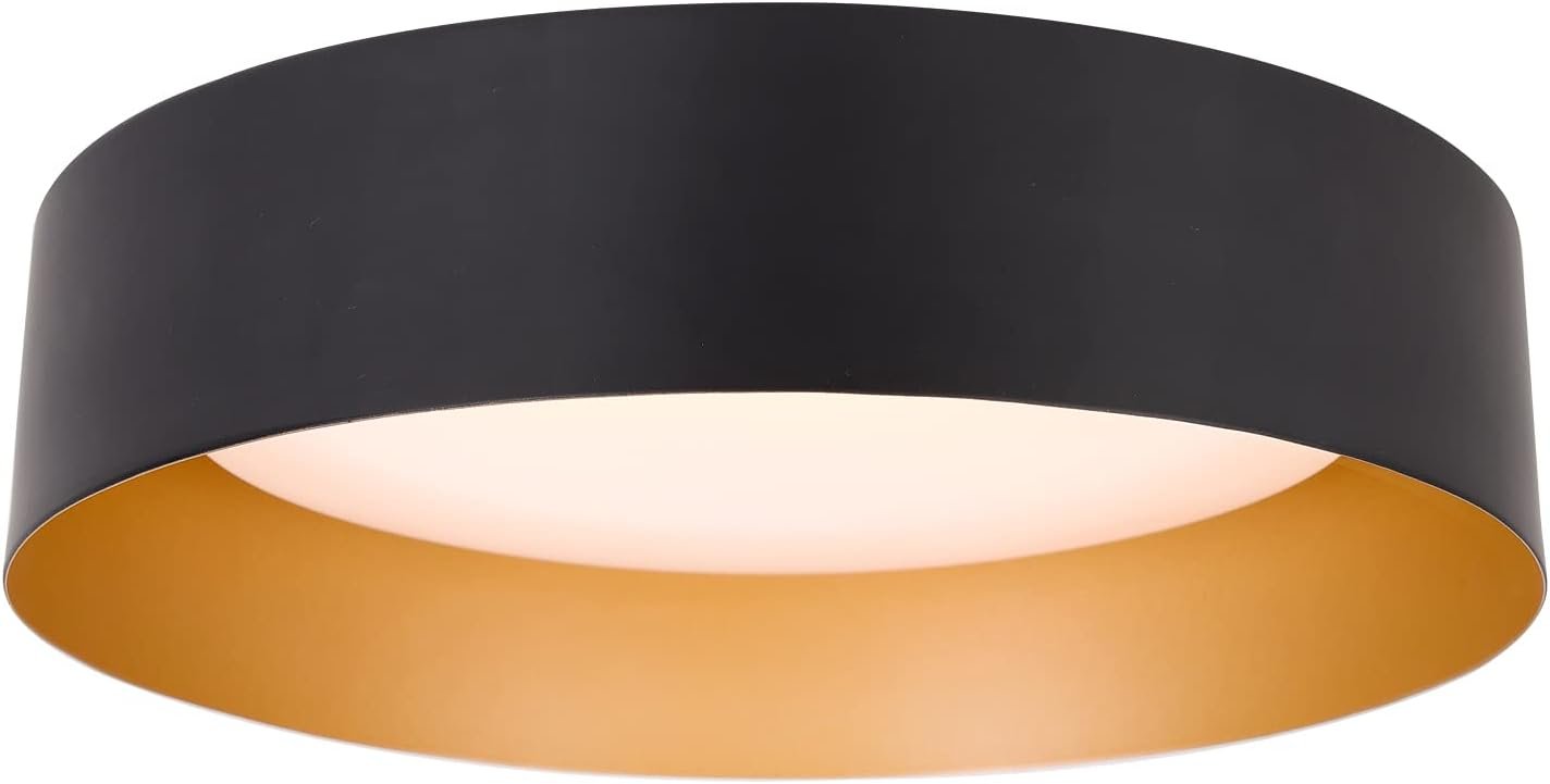 41Q0c-UwPDL._AC_SL1500_.jpg